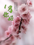 一月你好图片