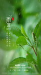 地产雨水