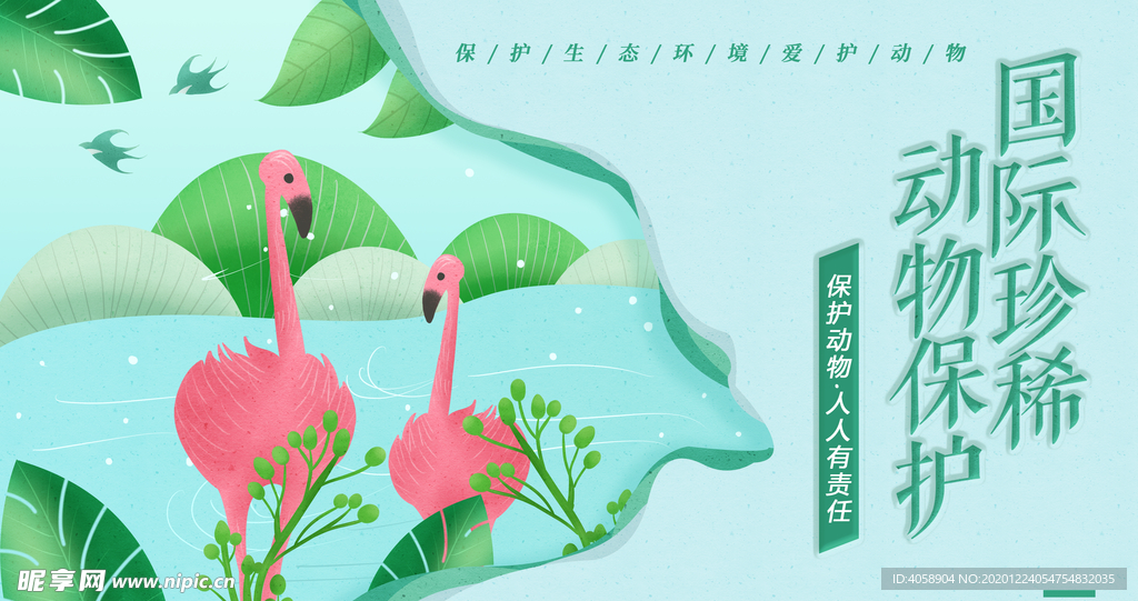 国际珍惜动物保护