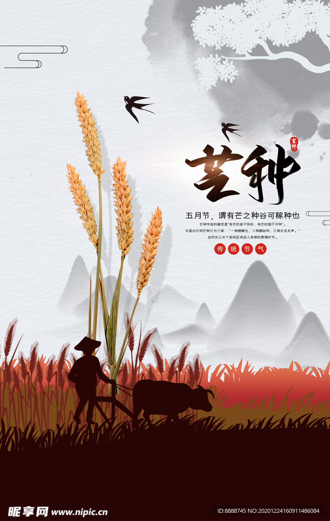 芒种海报