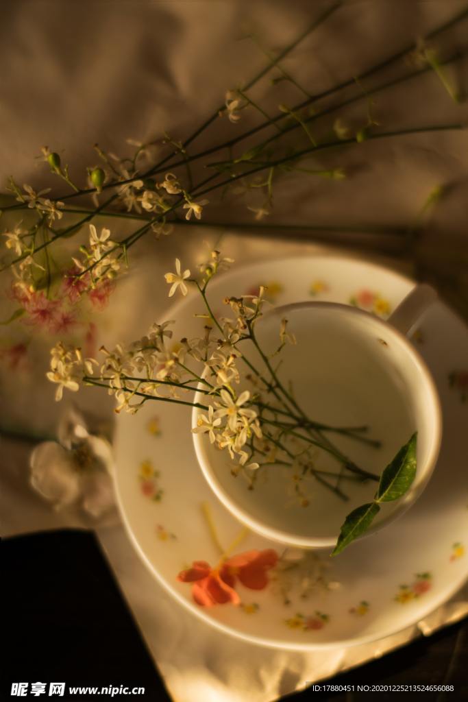 茶饮