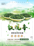 铁观音宣传海报