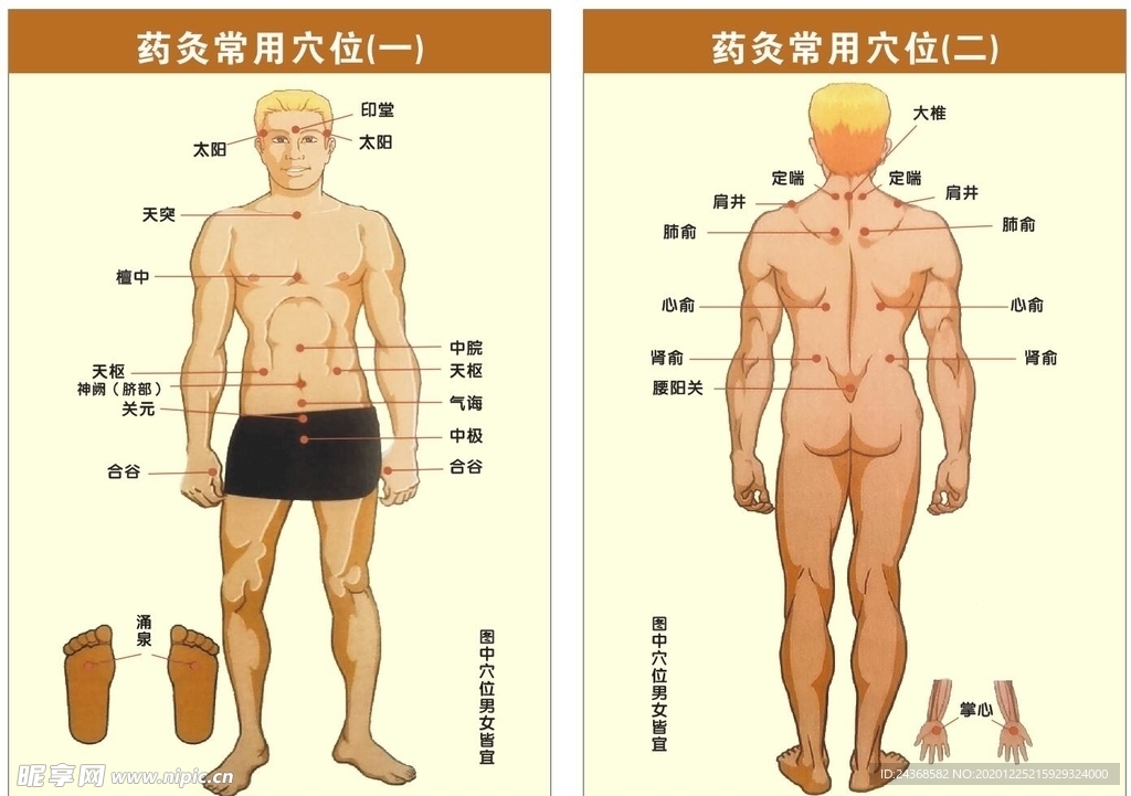 针灸图