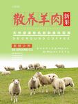 山羊肉海报