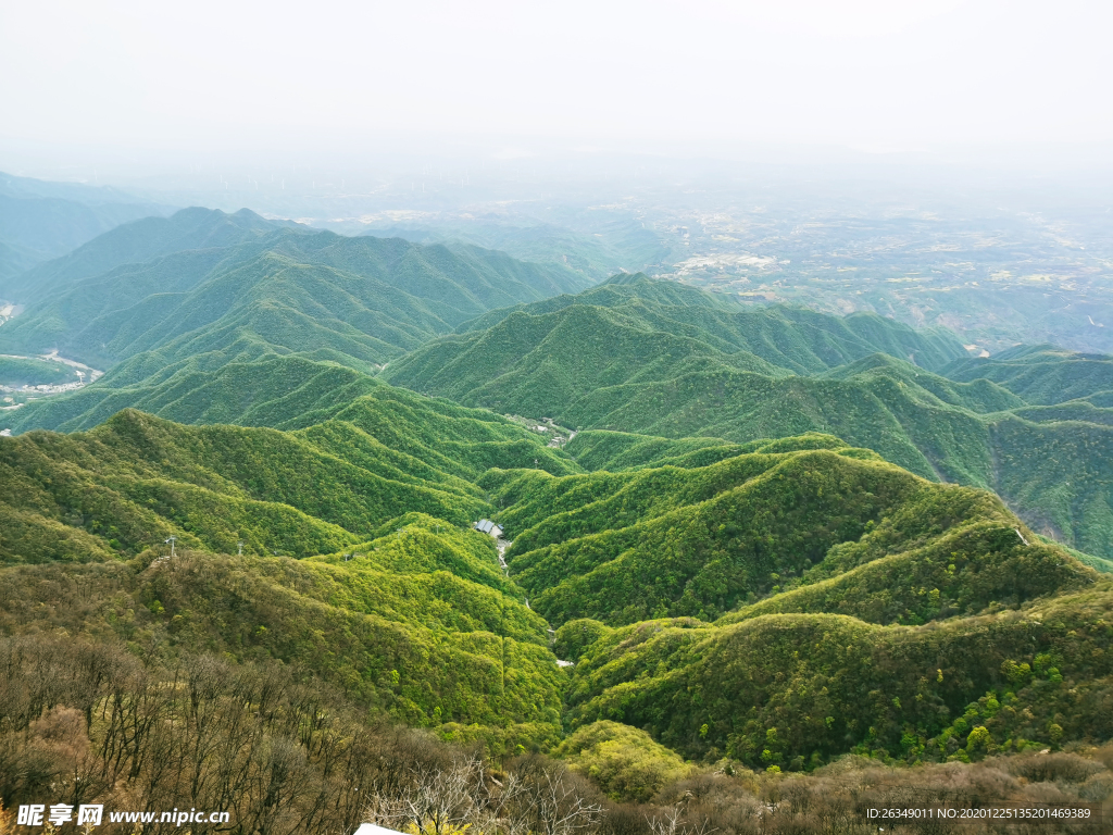 山景