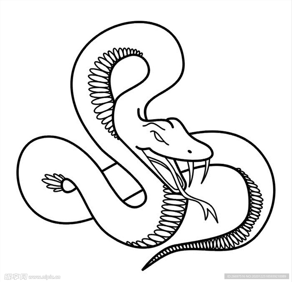 蛇矢量图