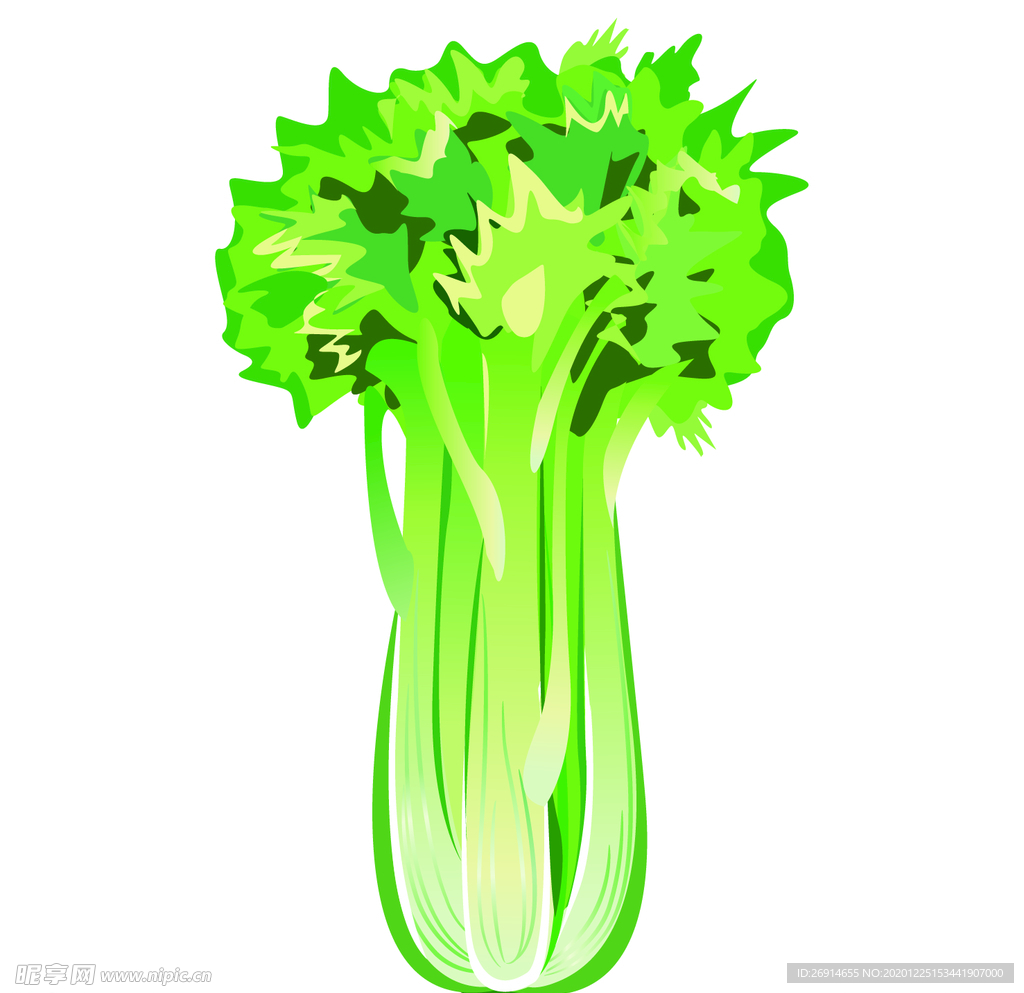 手绘芹菜