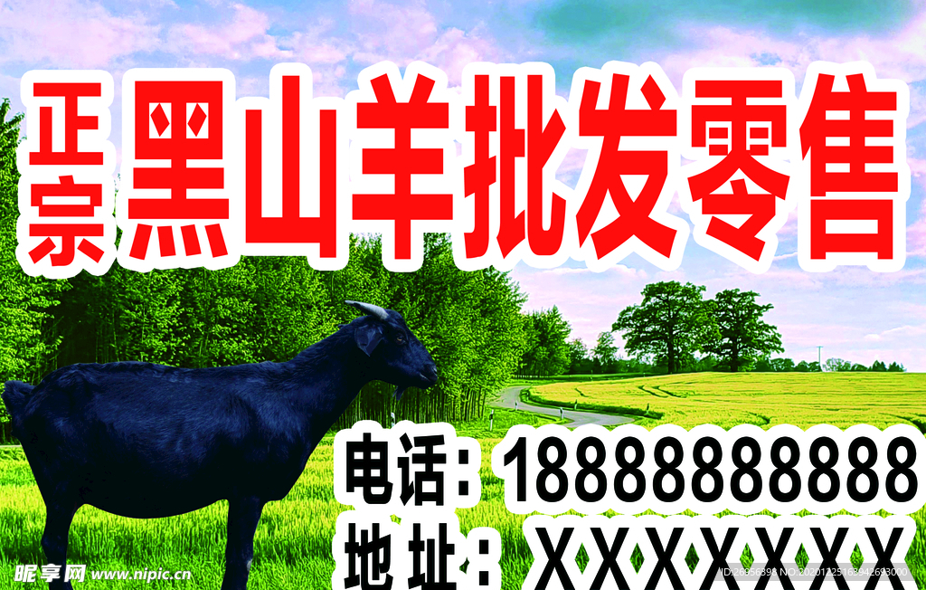 黑山羊展板