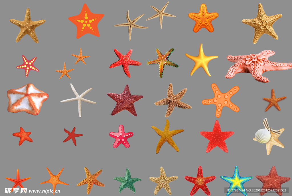 海星