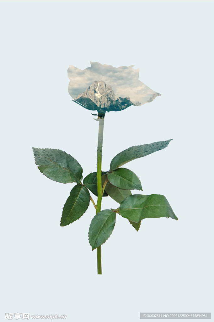 挂画画芯