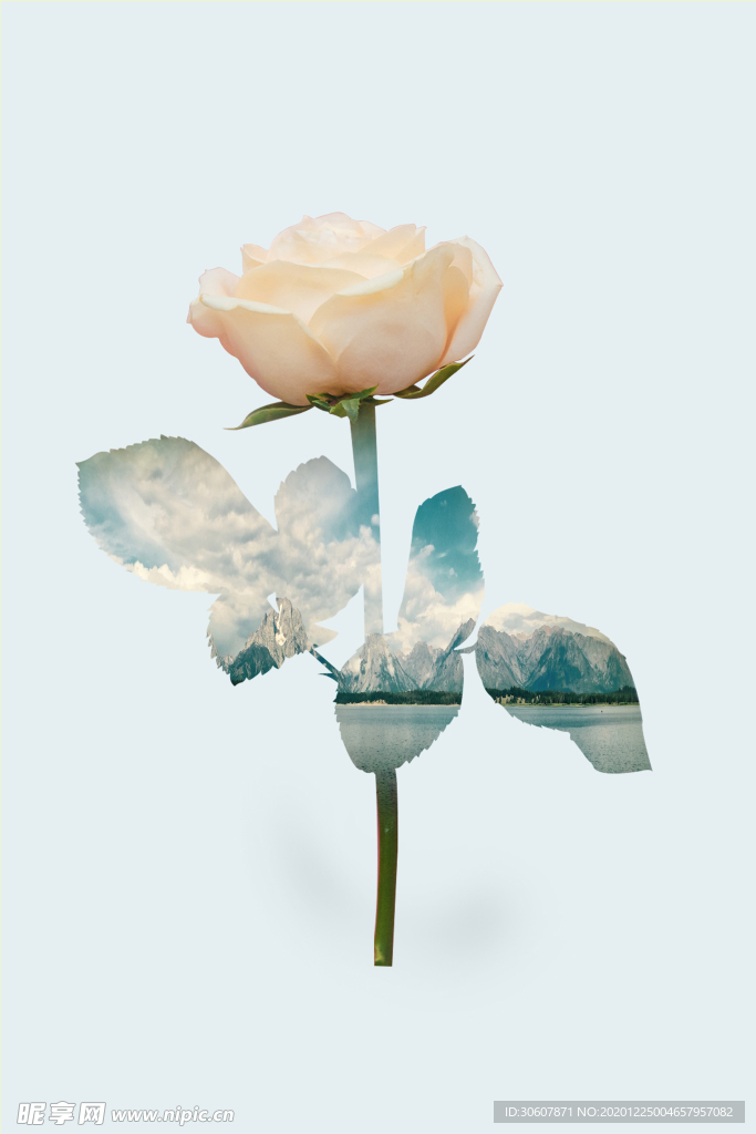 挂画画芯