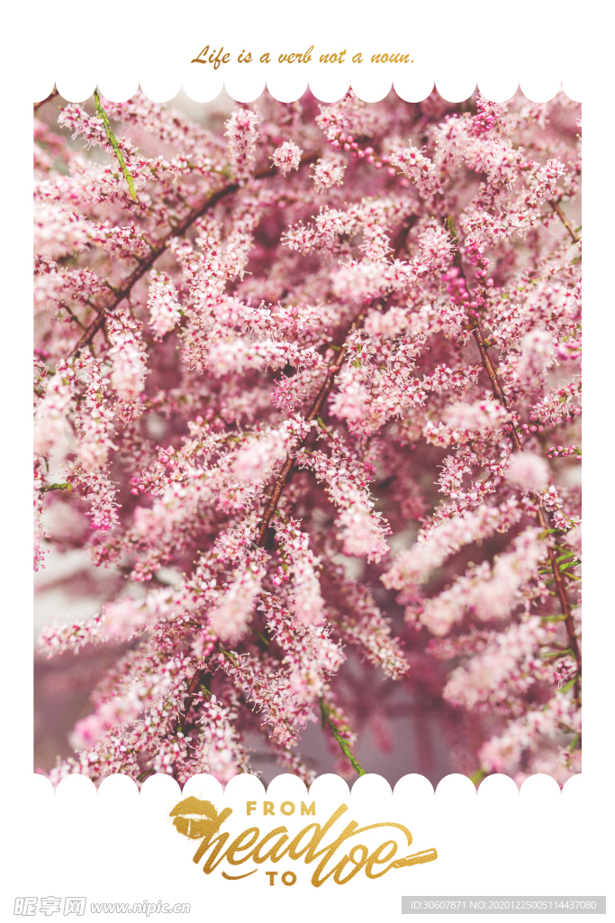 挂画画芯