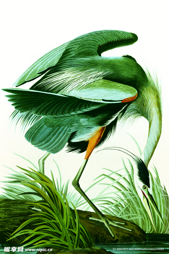 挂画画芯