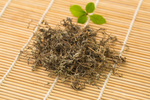 鹅不食草