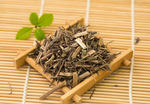 马鞭草