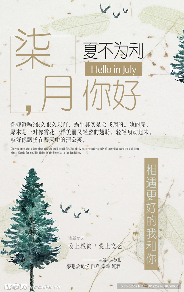 七月你好