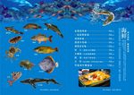 海鲜价目表