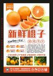 橙子