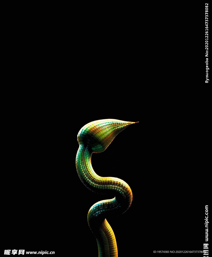 C4D 模型 蛇尾巴蛇花材质
