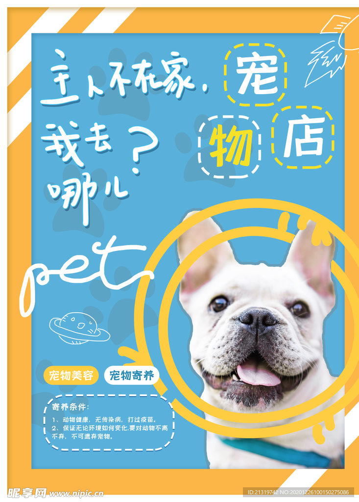宠物店宠物寄养宣传海报