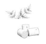 素描 艾草艾柱