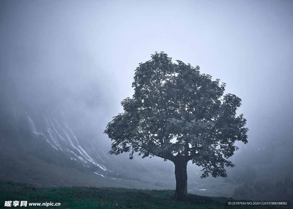 风景
