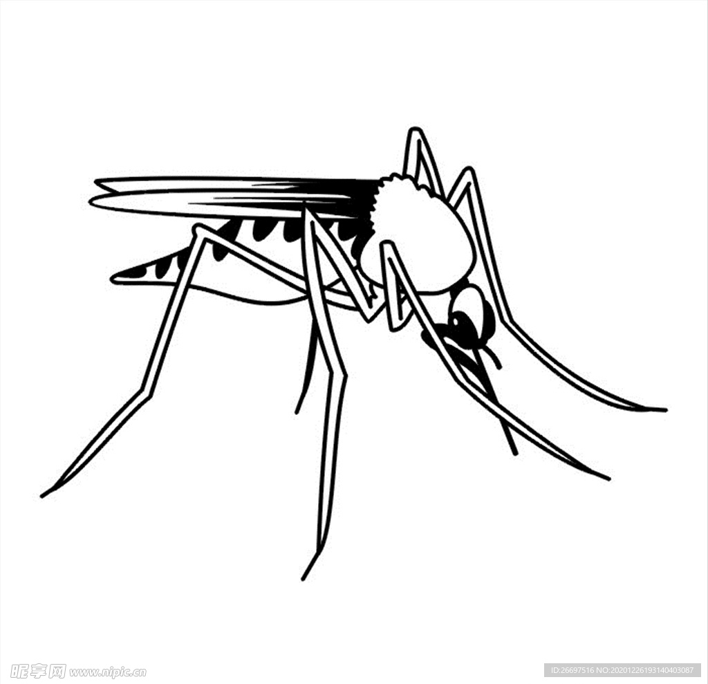 蚊子矢量图