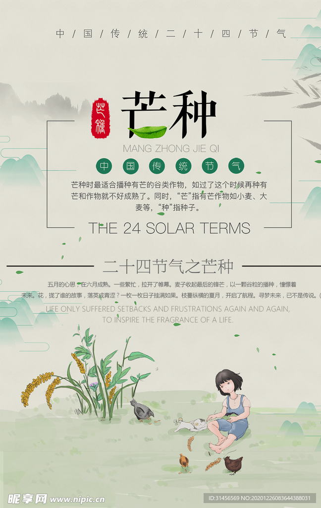 芒种