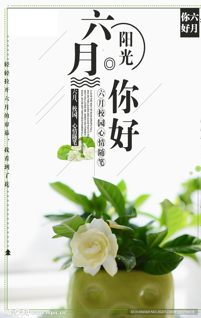 六月你好