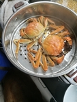 蟹