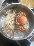 蟹