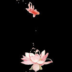 水墨墨迹鲤鱼