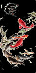 中国风手绘插画 鱼