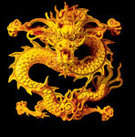 中国风金色龙元素