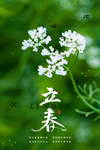 立春图片