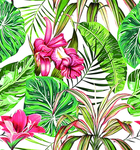 热带花