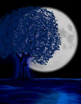 月下树