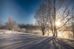 雪景
