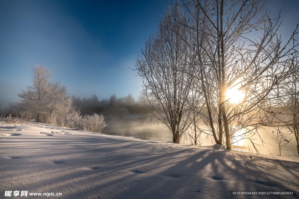雪景