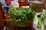 生菜