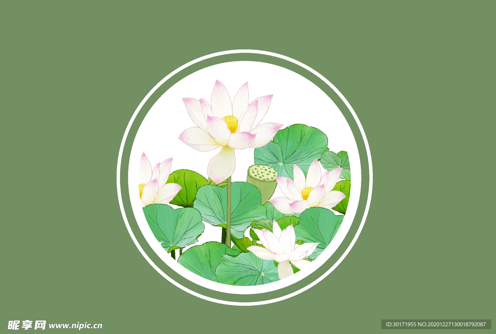 荷花