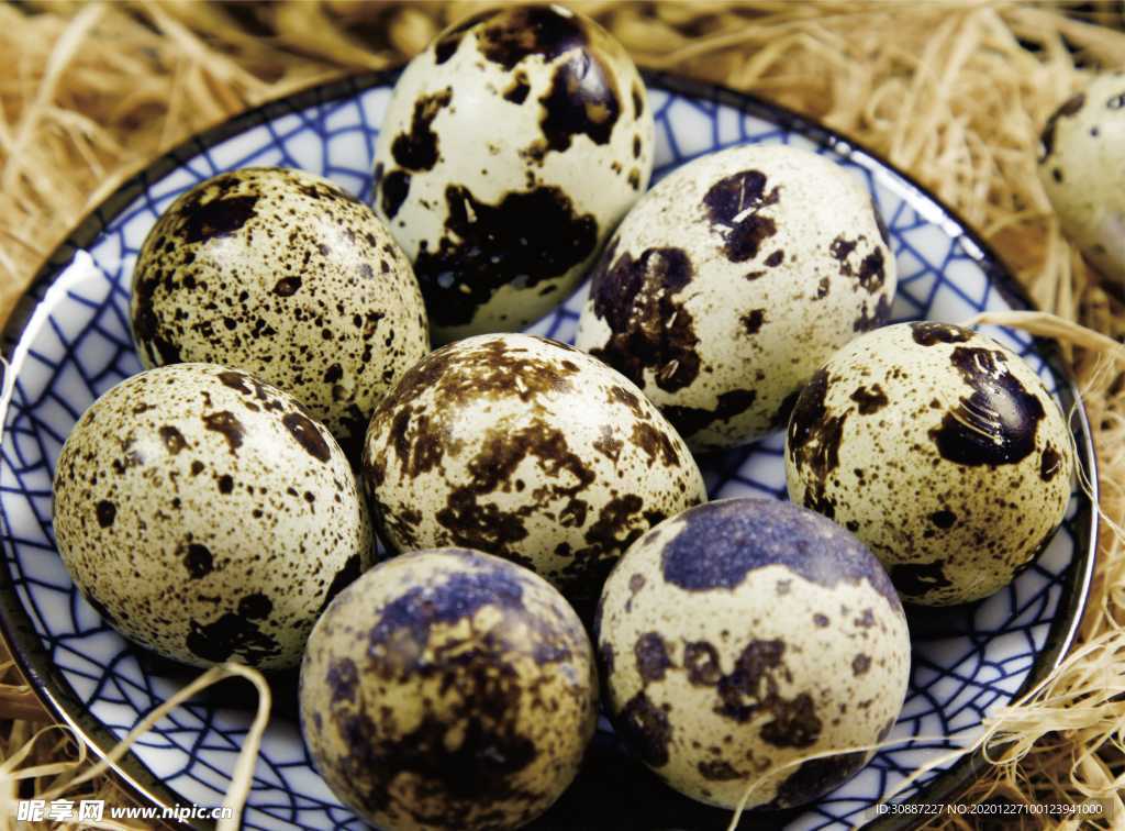 鸟蛋 鹌鹑蛋 煮蛋 卤蛋