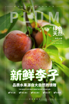 水果海报图片