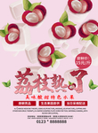 荔枝图片