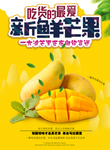 芒果图片