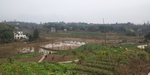 农村