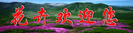 花卉欢迎您