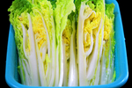 娃娃菜