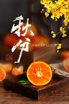 秋分海报