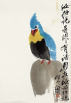 齐白石国画 鹦鹉